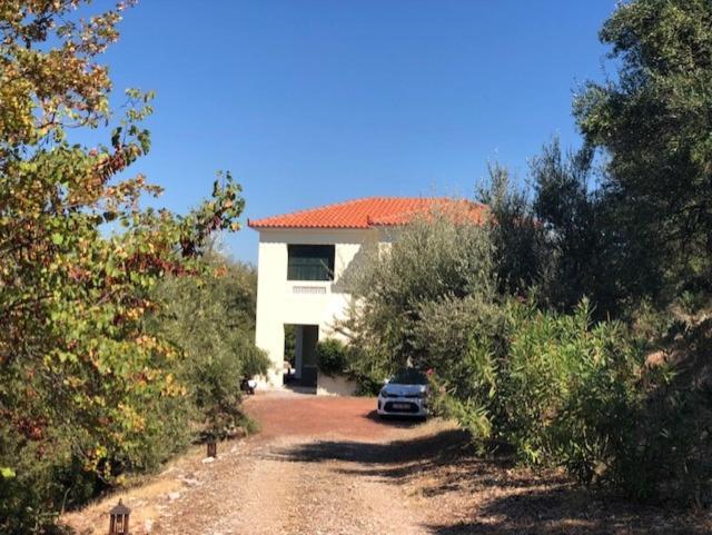Kyparissia De Wandelboom Vrises (Kiparissia) Exterior foto