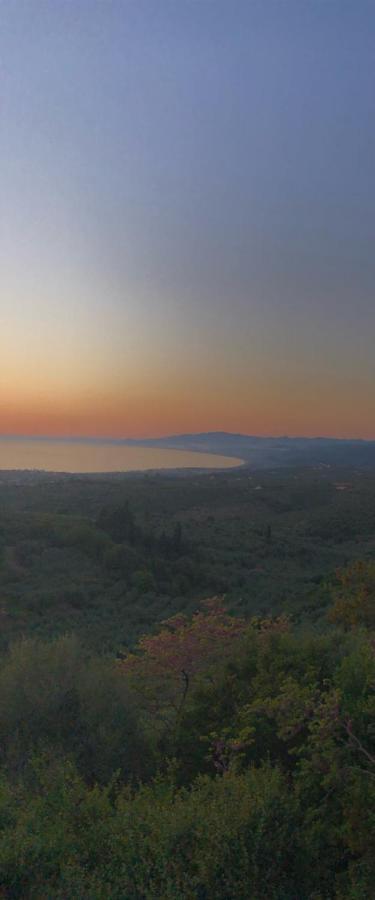 Kyparissia De Wandelboom Vrises (Kiparissia) Exterior foto