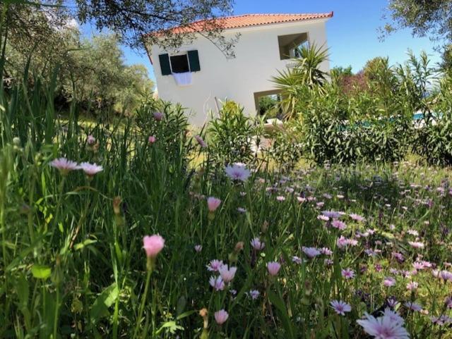 Kyparissia De Wandelboom Vrises (Kiparissia) Exterior foto