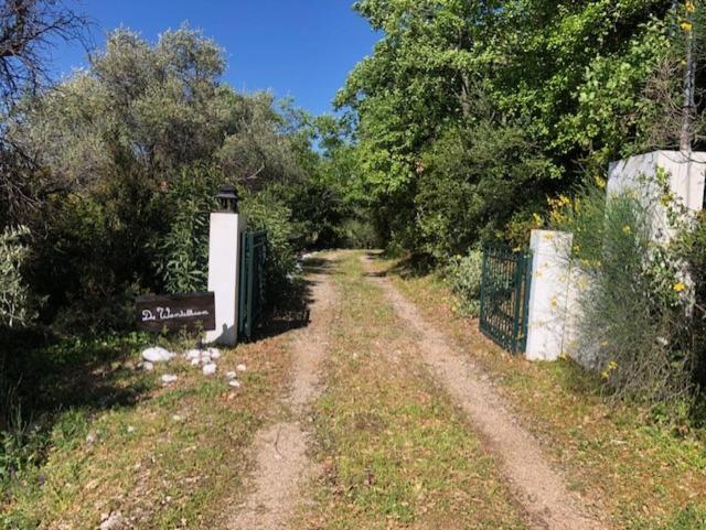 Kyparissia De Wandelboom Vrises (Kiparissia) Exterior foto