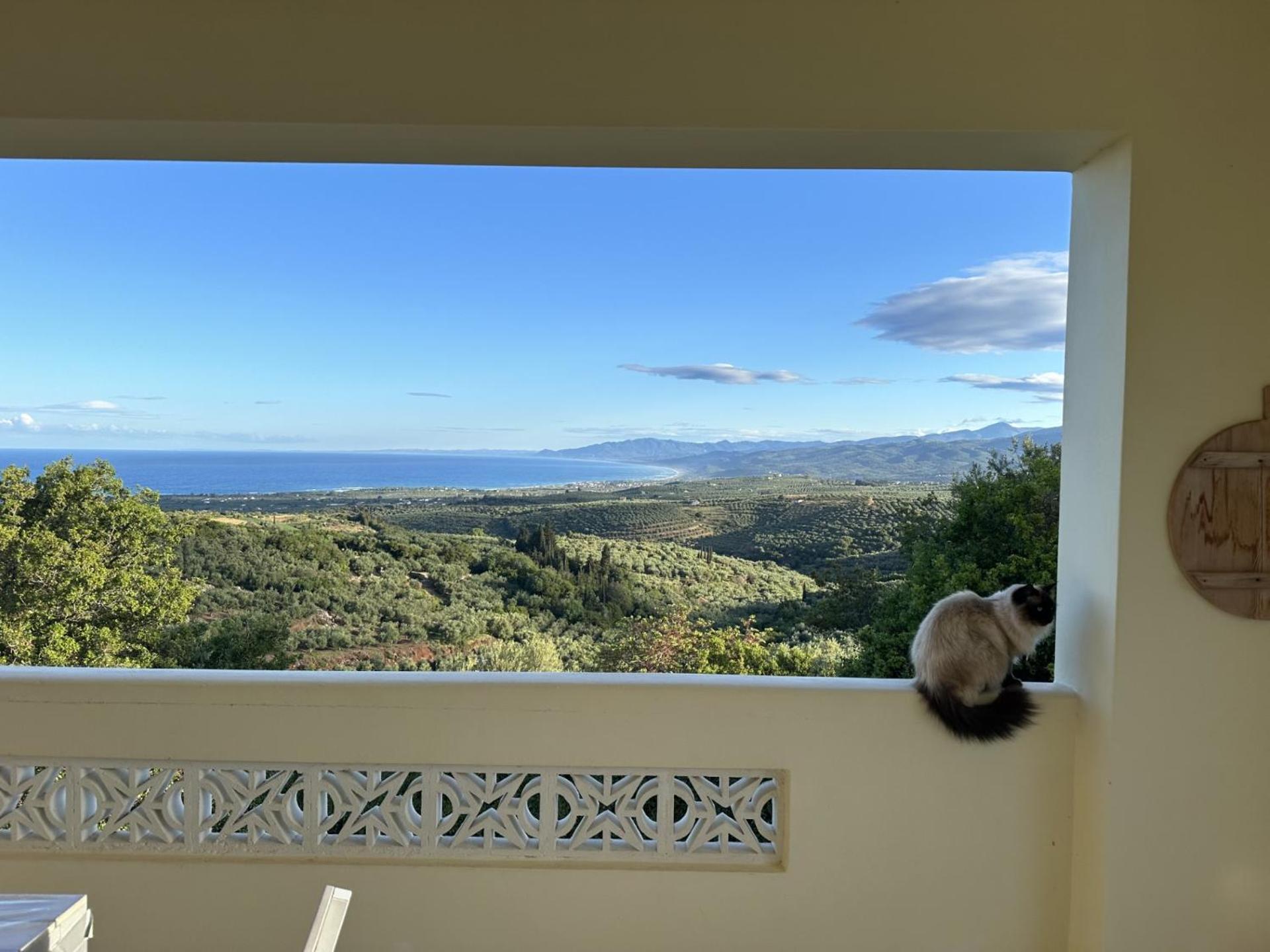 Kyparissia De Wandelboom Vrises (Kiparissia) Exterior foto
