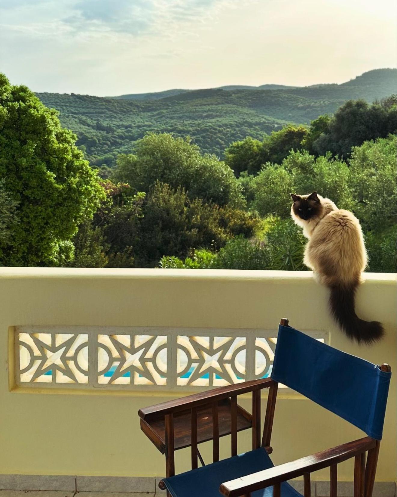 Kyparissia De Wandelboom Vrises (Kiparissia) Exterior foto